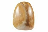 Free-Standing, Polished Brown Calcite #199058-1